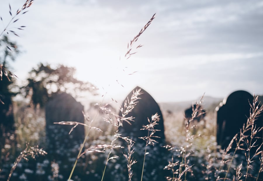 Eternity is Written on our Hearts