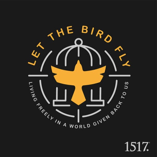Let the Bird Fly