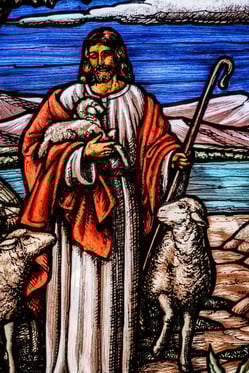 CUI Good Shepherd