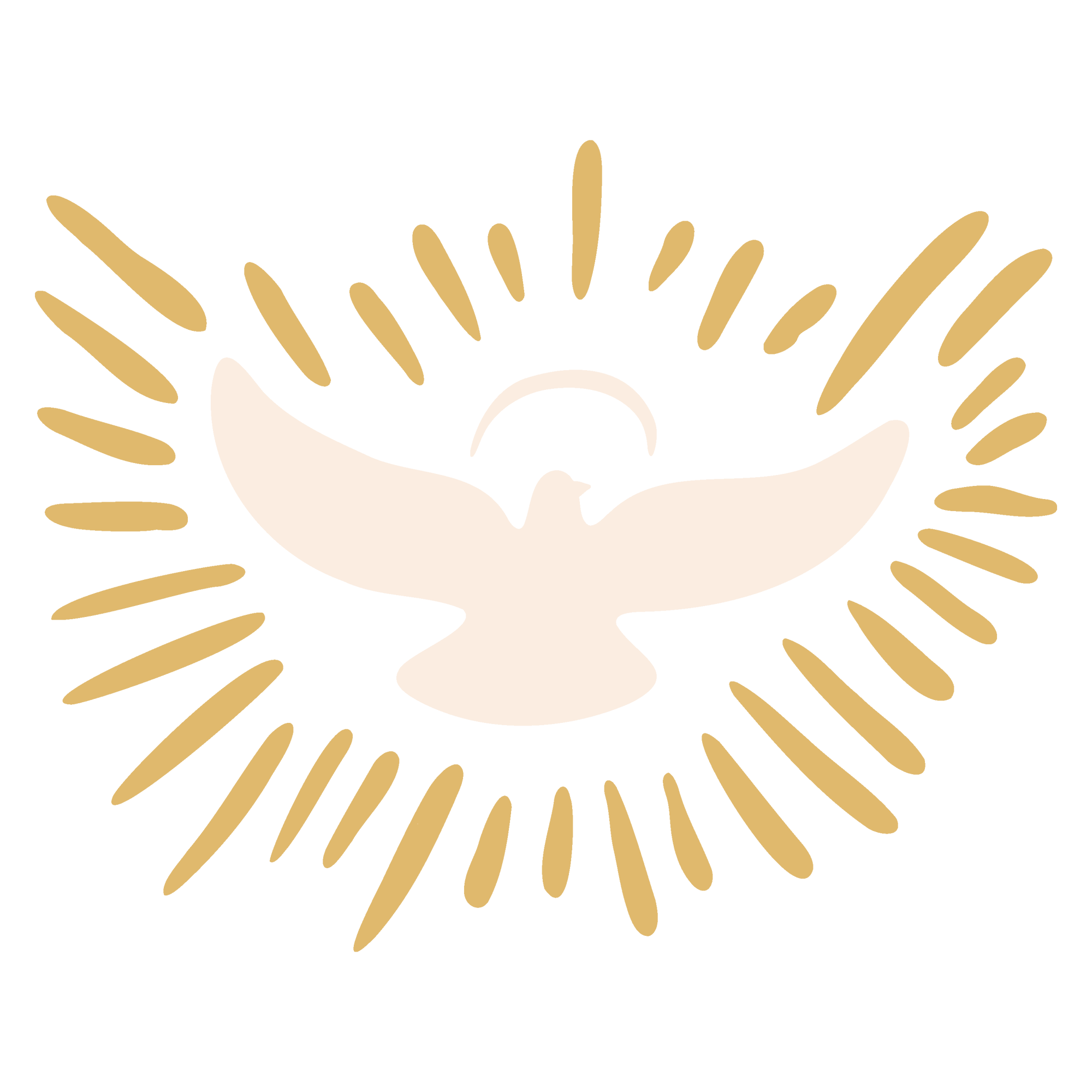 HWSS24_iconsforsocial_DOVE