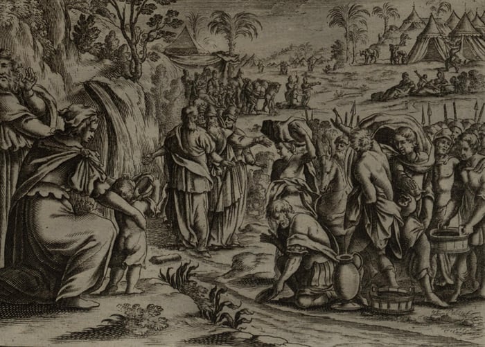 The Tree That Sweetens Every Sorrow