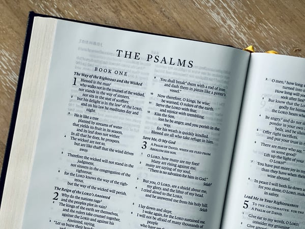 Reclaiming God’s Playground: Poetry, Truth, and the Christian Imagination