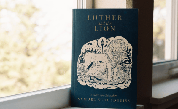 The Sacrament of Baptism: Through the Wardrobe and the Water