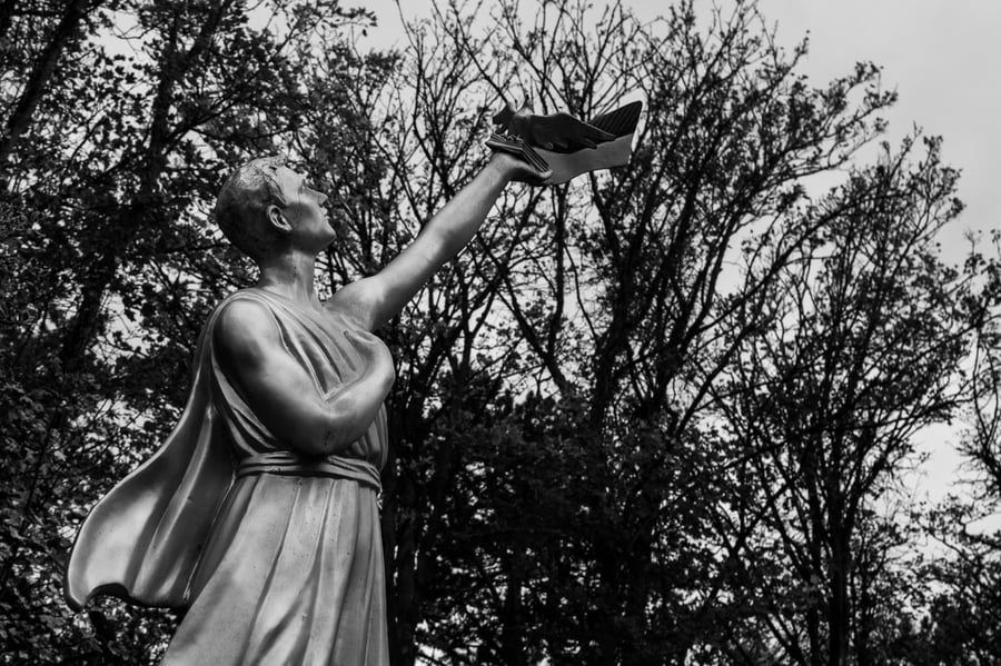 The Other History of Feminism