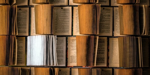 Why Read Anything Else? Holy Scripture and Literature