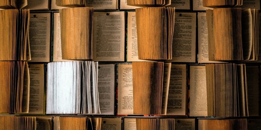 Why Read Anything Else? Holy Scripture and Literature