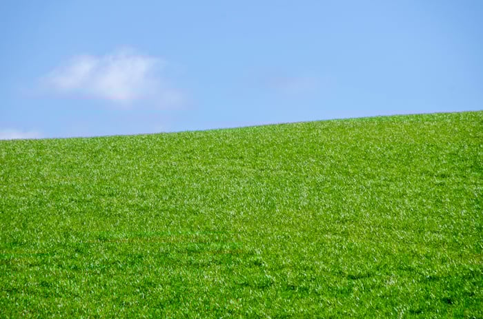 The Shepherd Who Sees Our Stains