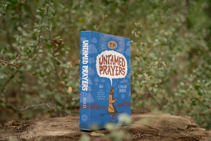 An Excerpt from Untamed Prayers: Psalm 86