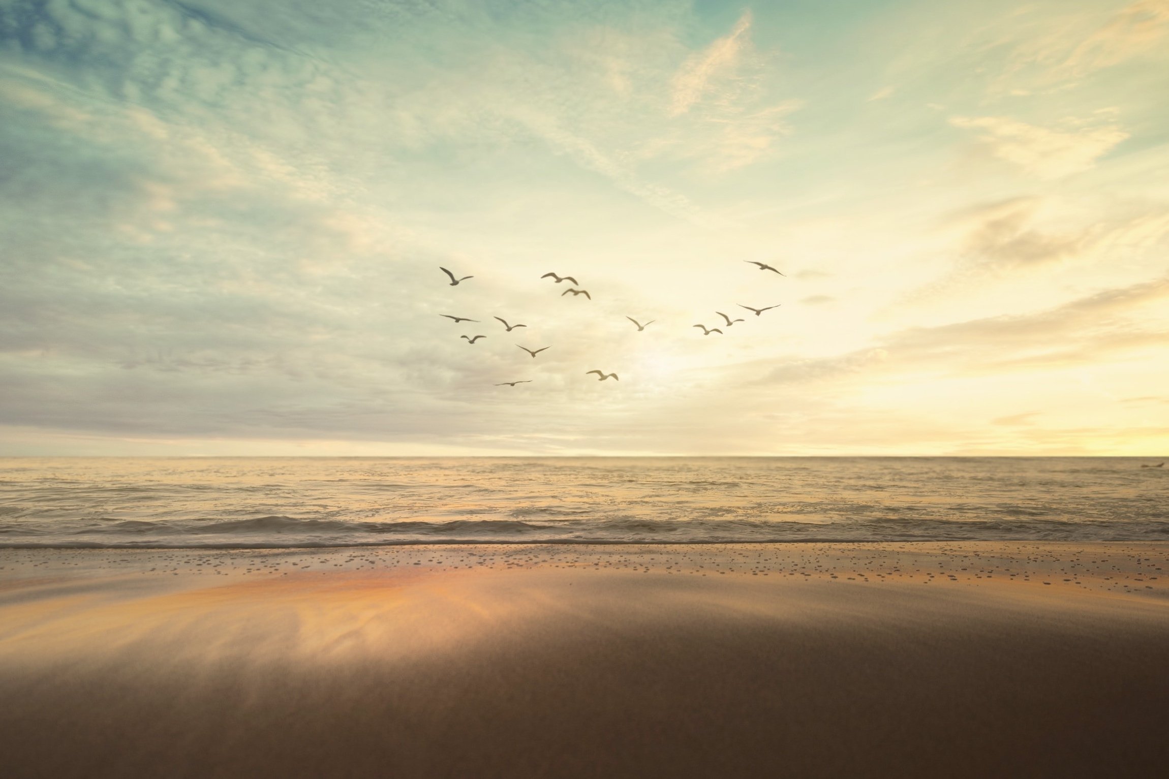 Catbirds and the Delight of God