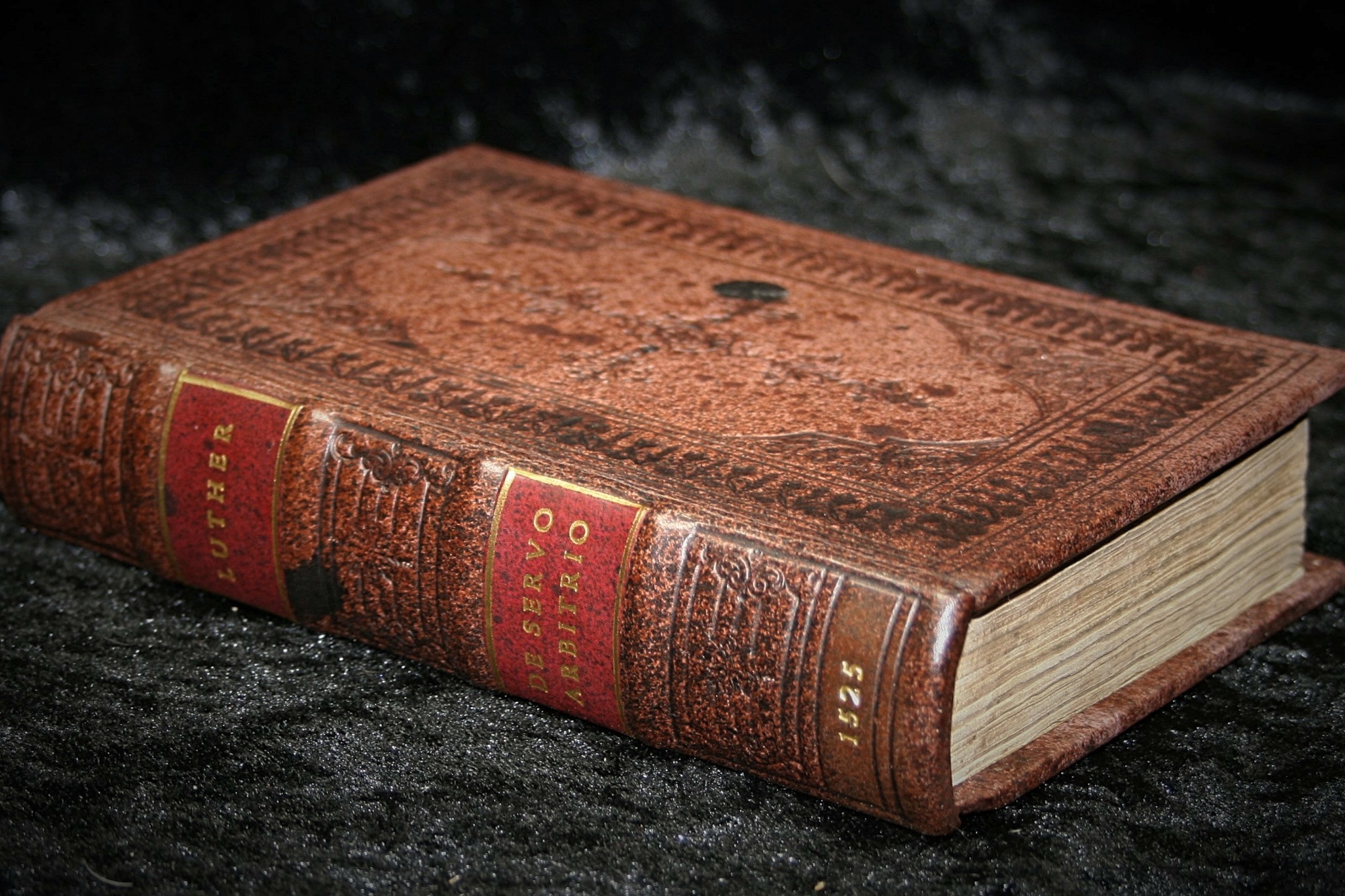 Erasmus versus Luther: Bound to Be Free (Part 8)