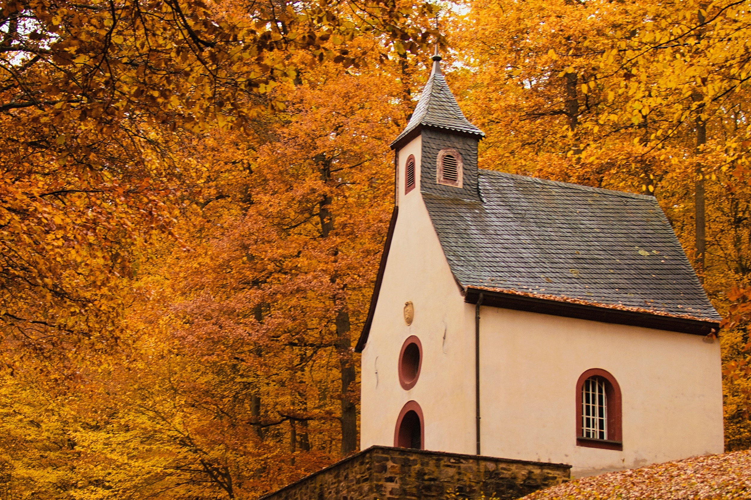 A Confessional Church or a Confessing Church?