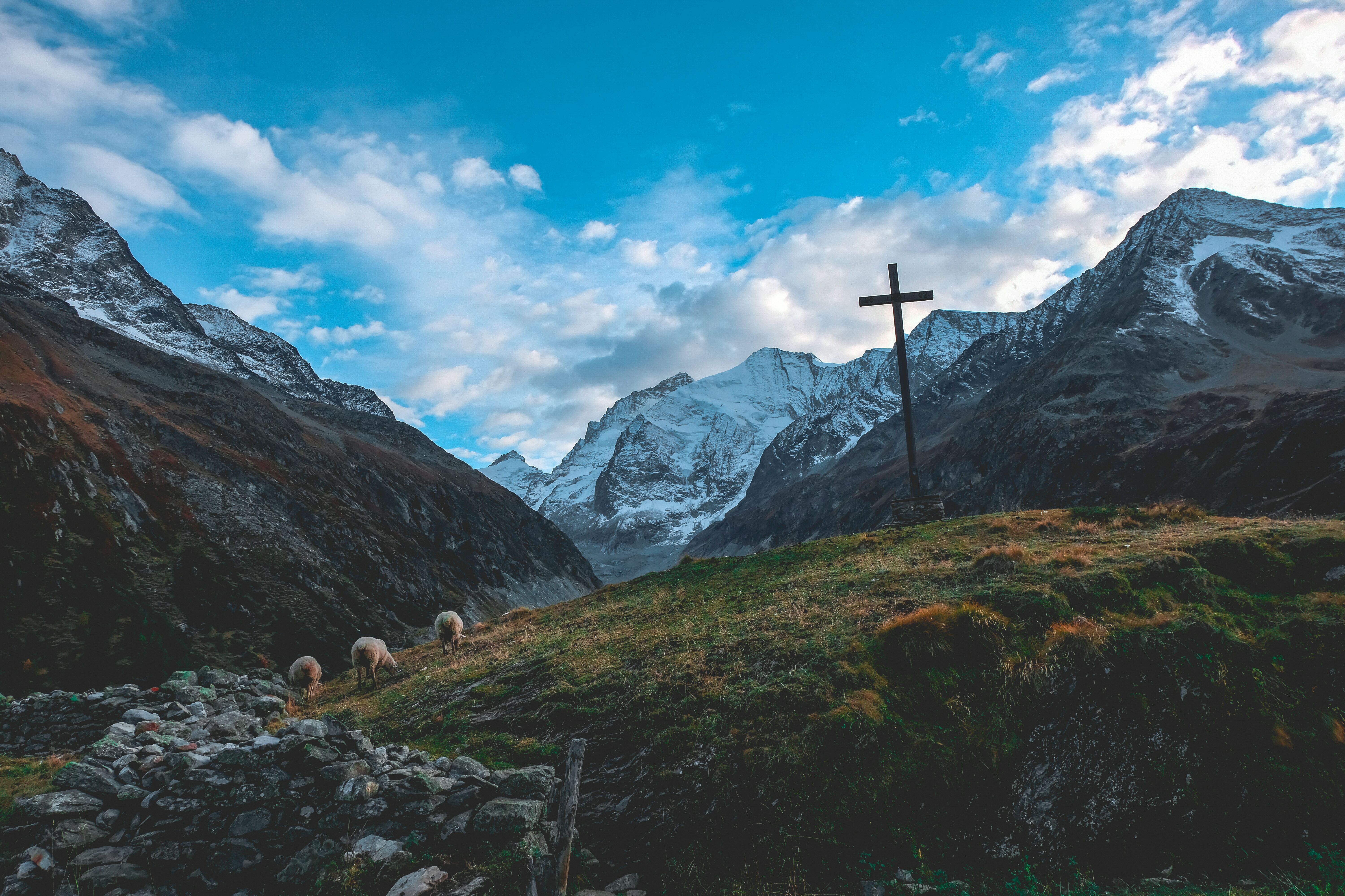 Old Testament: Psalm 23 (Easter 4: Series B)
