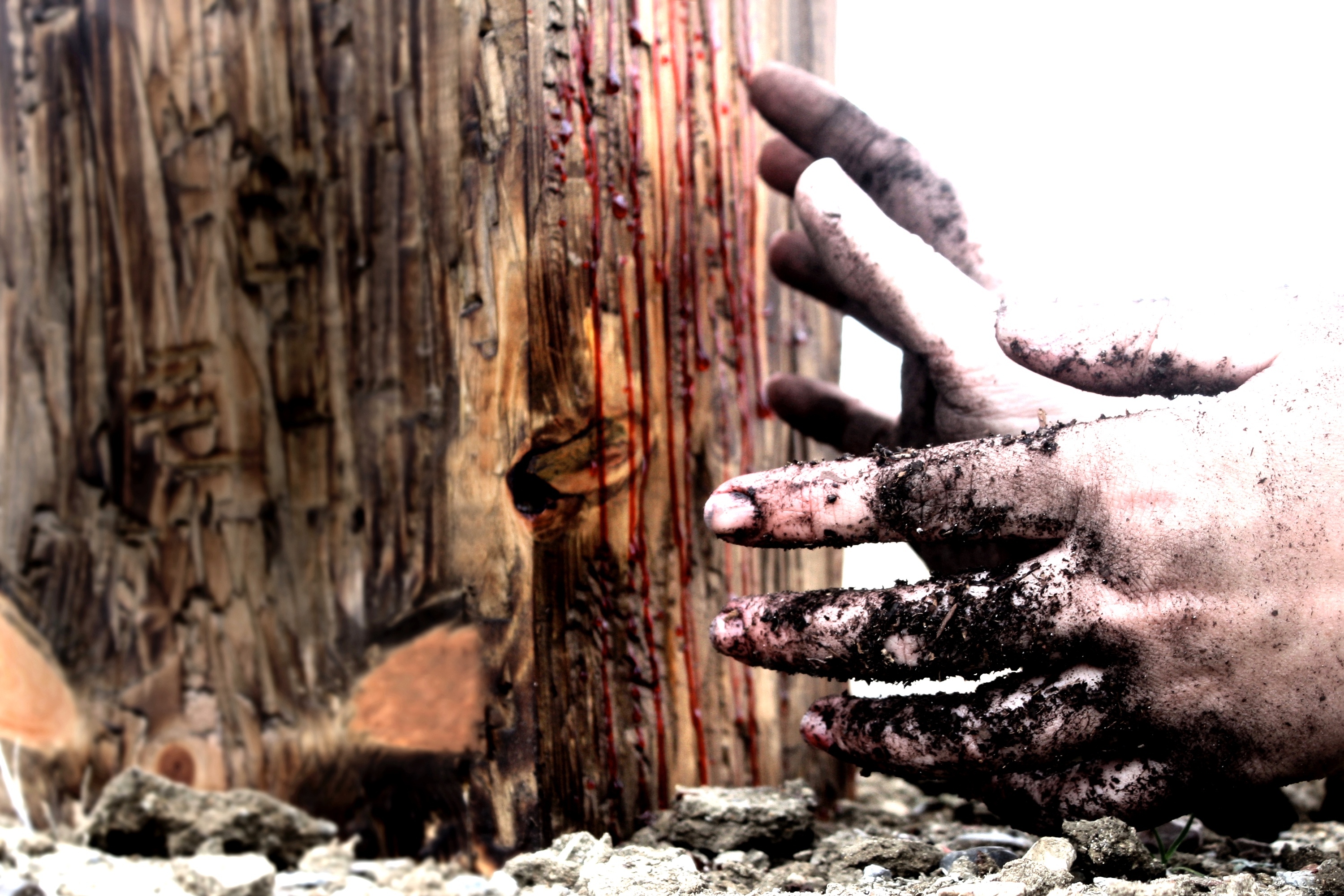 Failed Saint, Faithful Savior