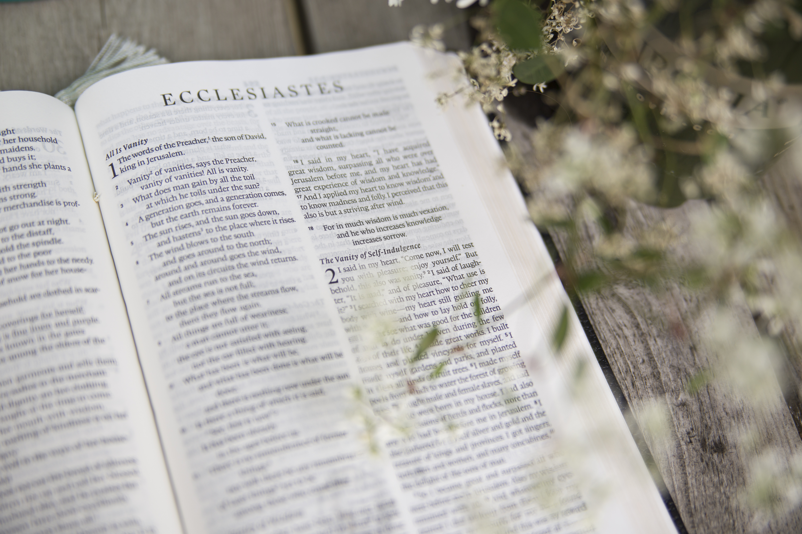 Old Testament: Ecclesiastes 5:10-20 (Pentecost 21: Series B )