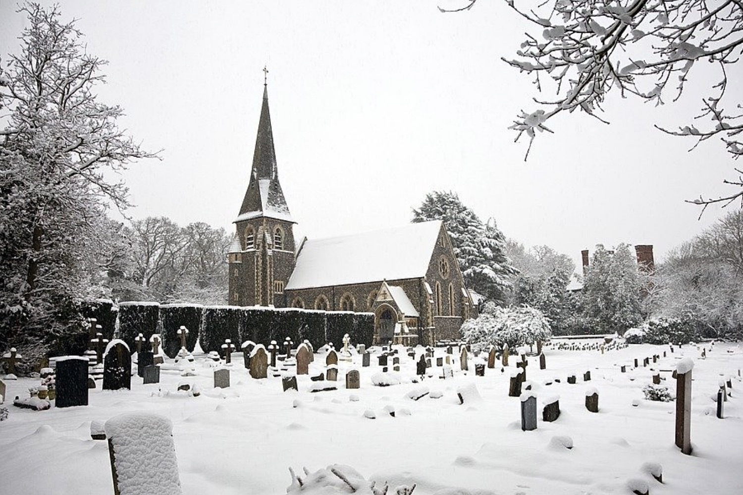 Remembering Those We've Lost During Christmas