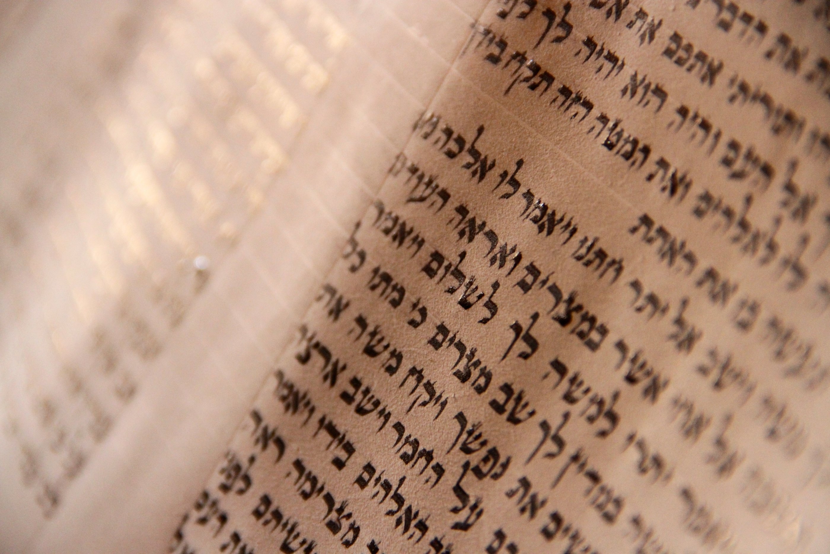 Old Testament: Leviticus 19:9-18 (Pentecost 5: Series C)