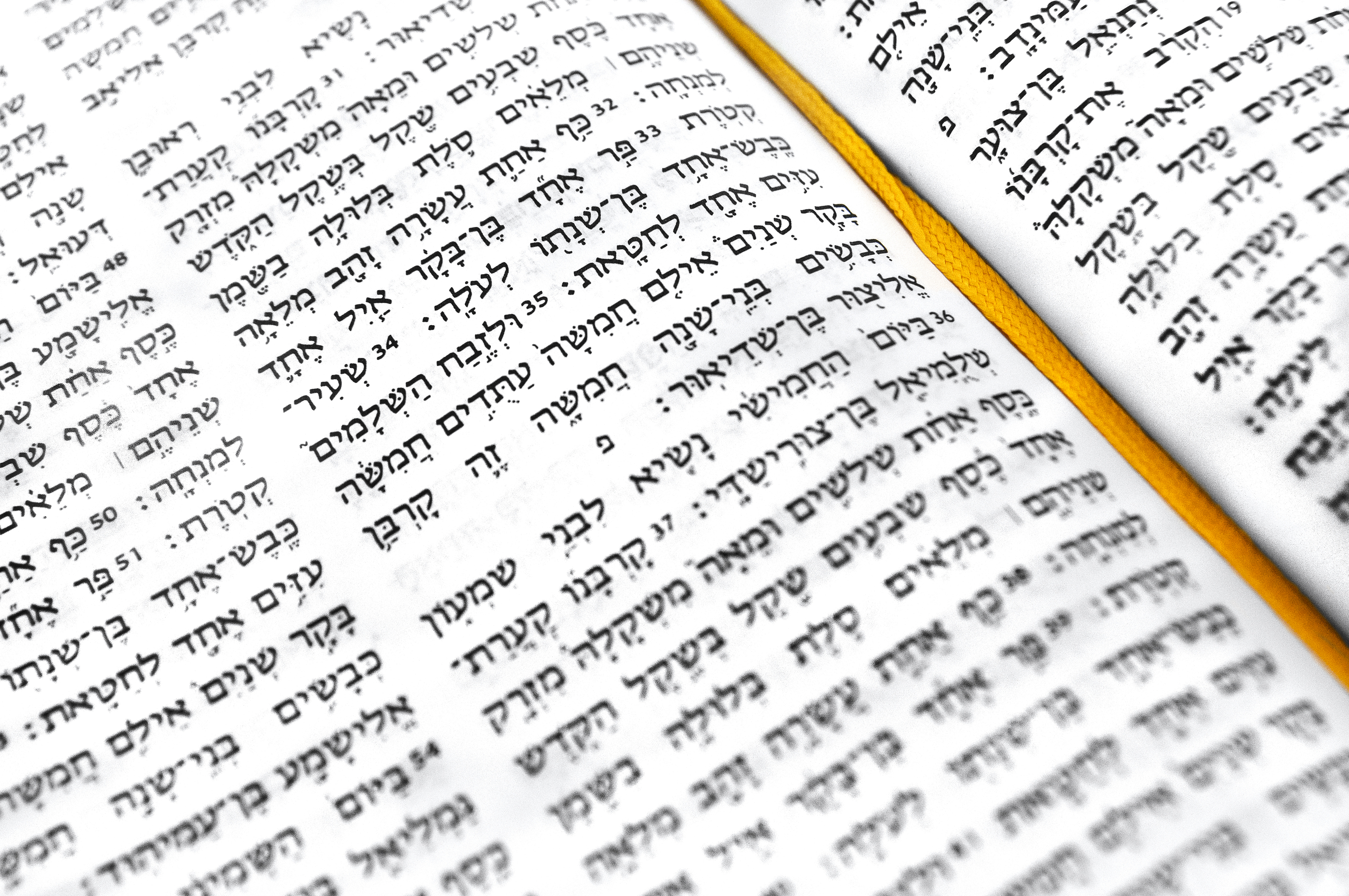 Epistle: Hebrews 3:12-19 (Proper 23: Series B)