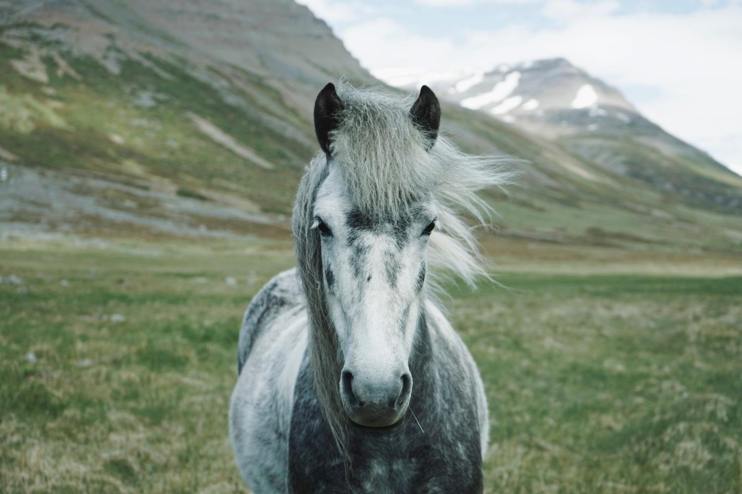 The Gelded Gospel