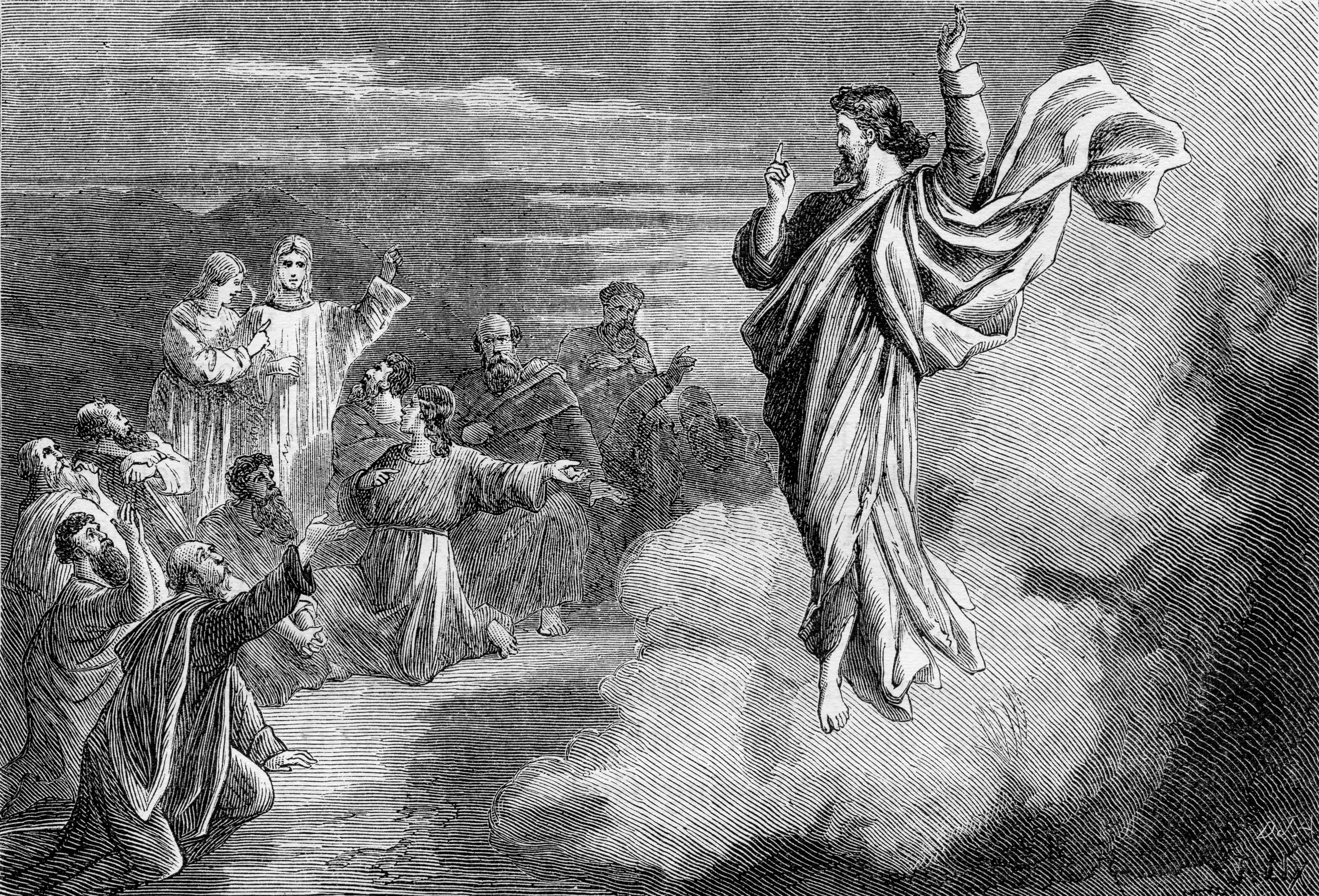 Gospel: Luke 19:28-40 (Advent 1, Series C)