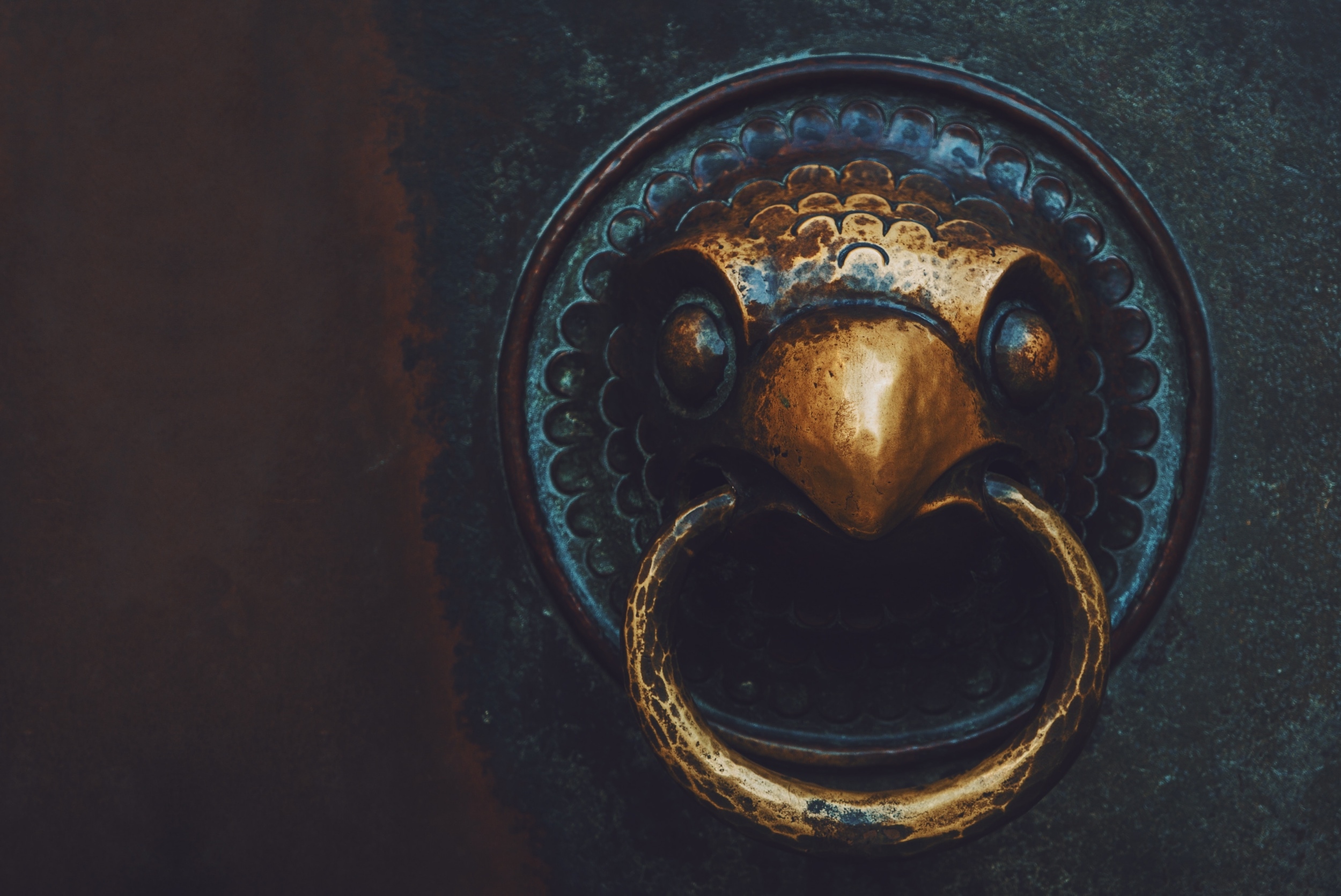 When Fear Knocks