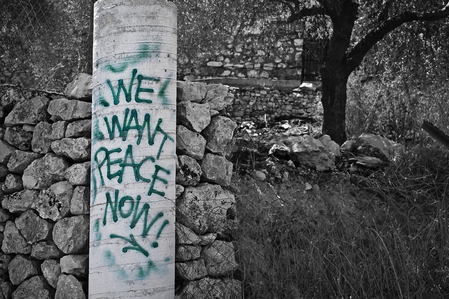 Peace that Divides