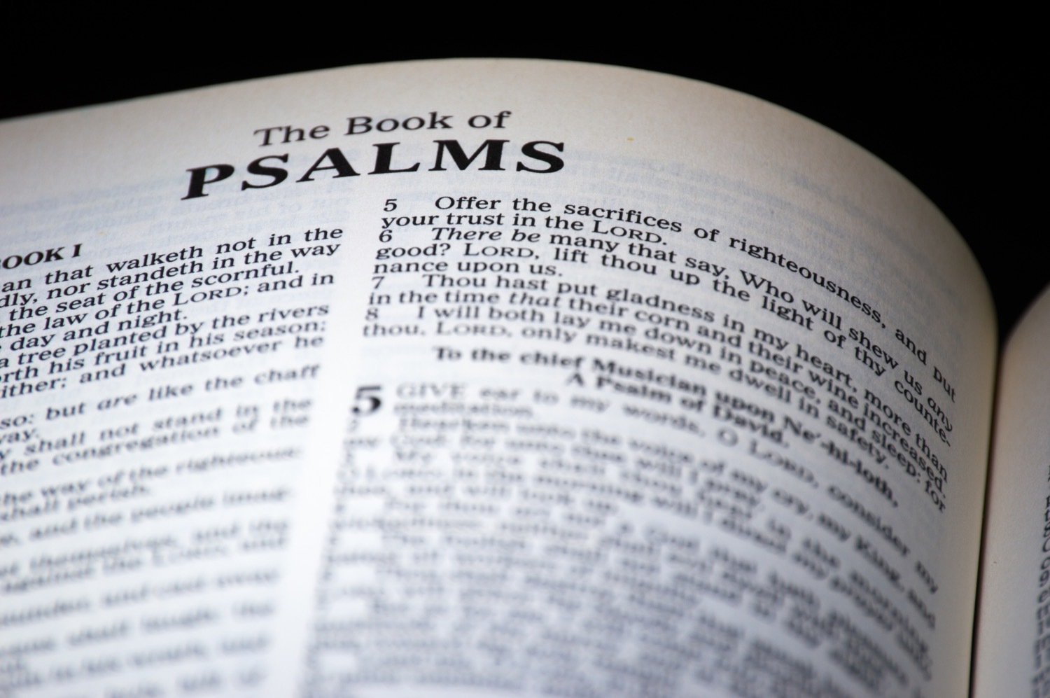 Old Testament: Psalm 1 (Easter 7: Series B)