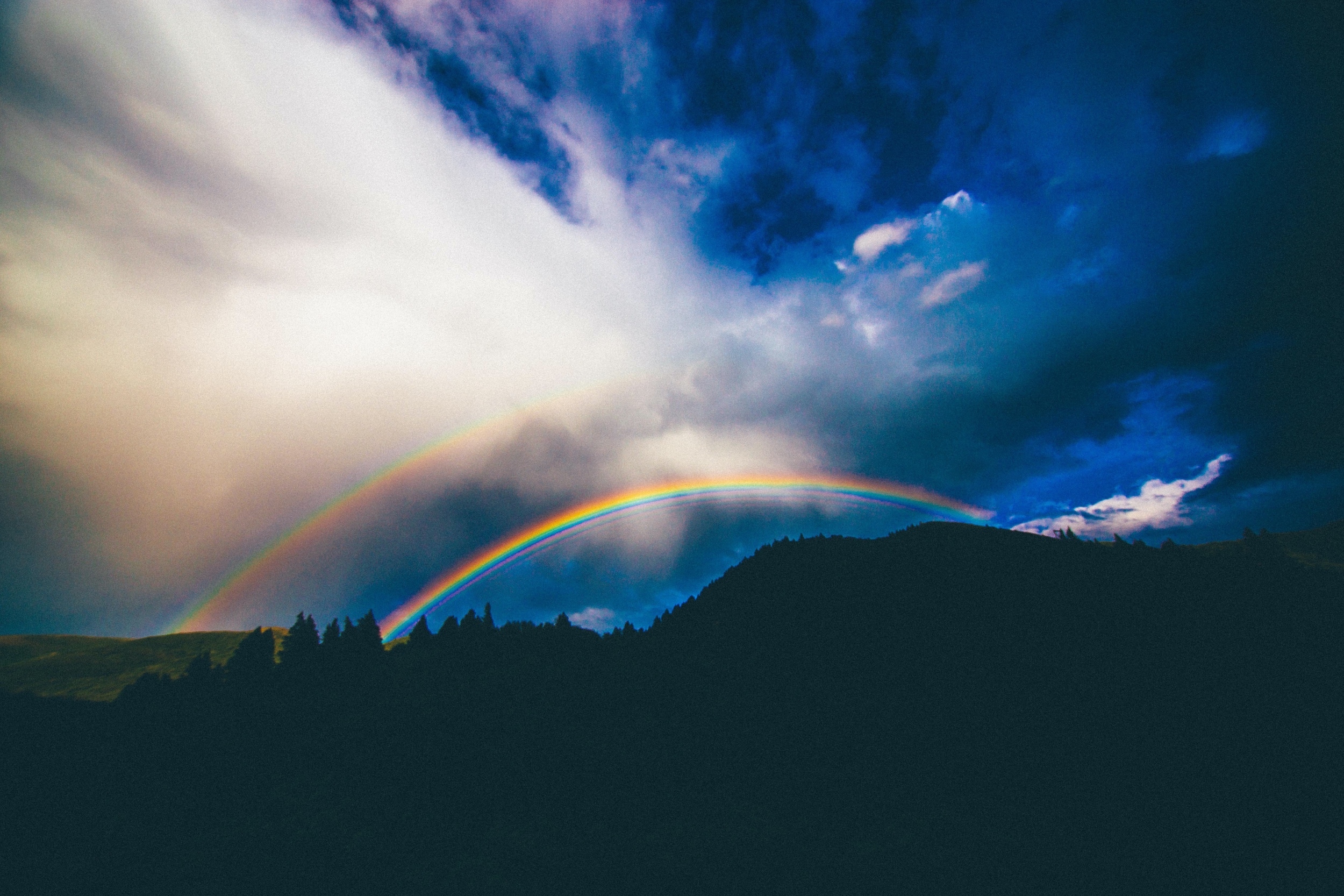 Old Testament: Genesis 9:8-17 (Pentecost 9: Series B)