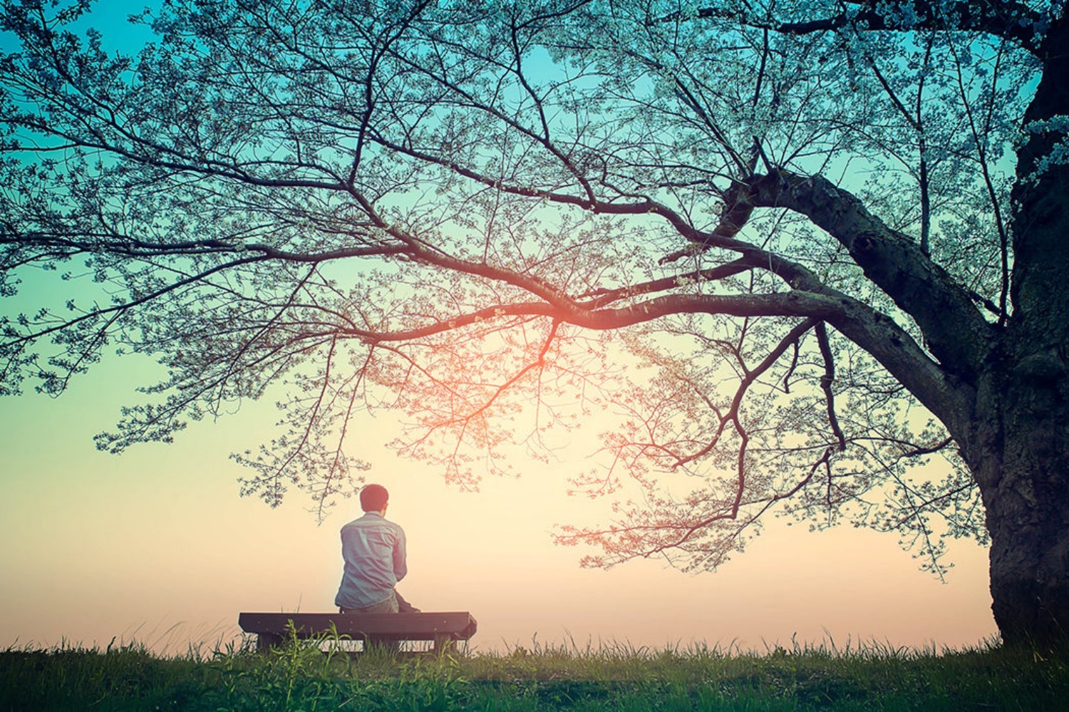 Rest Doesn't Come Cheap