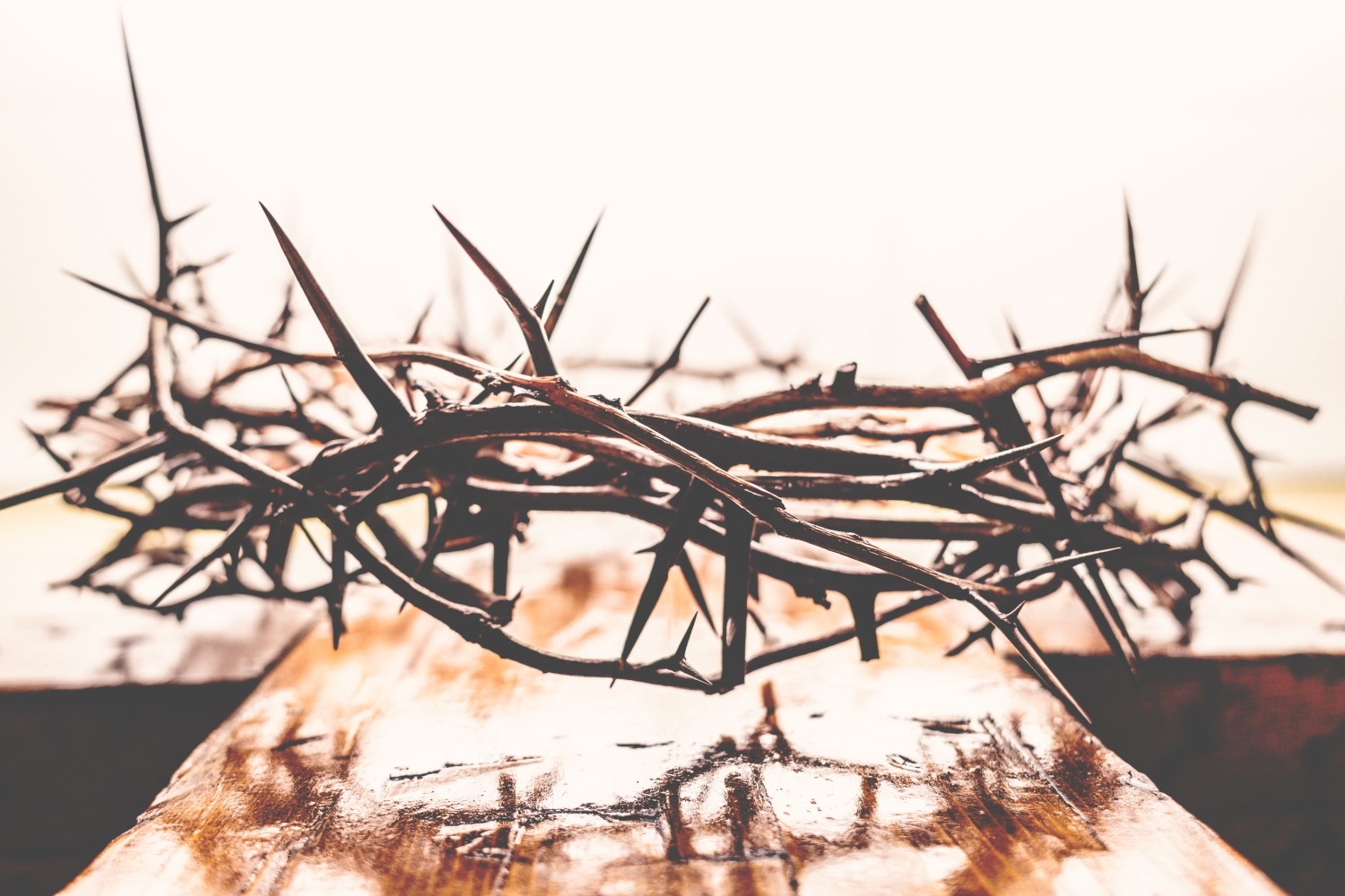 How to Survive Good Friday