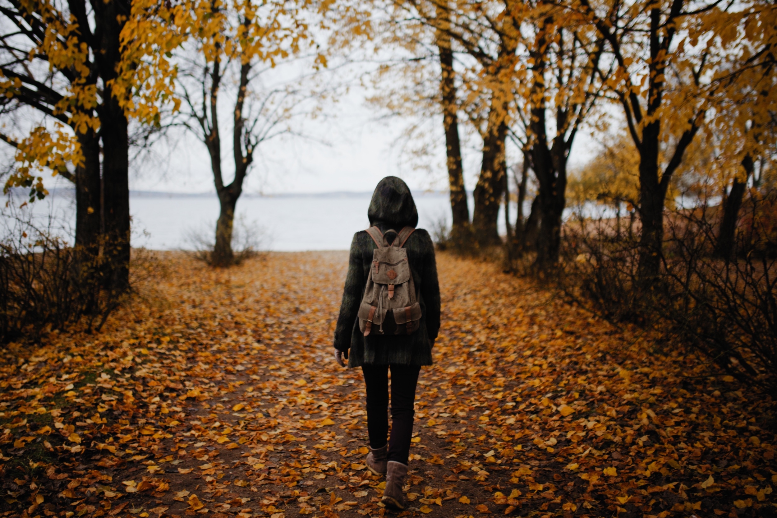 How's Your Walk With Jesus?