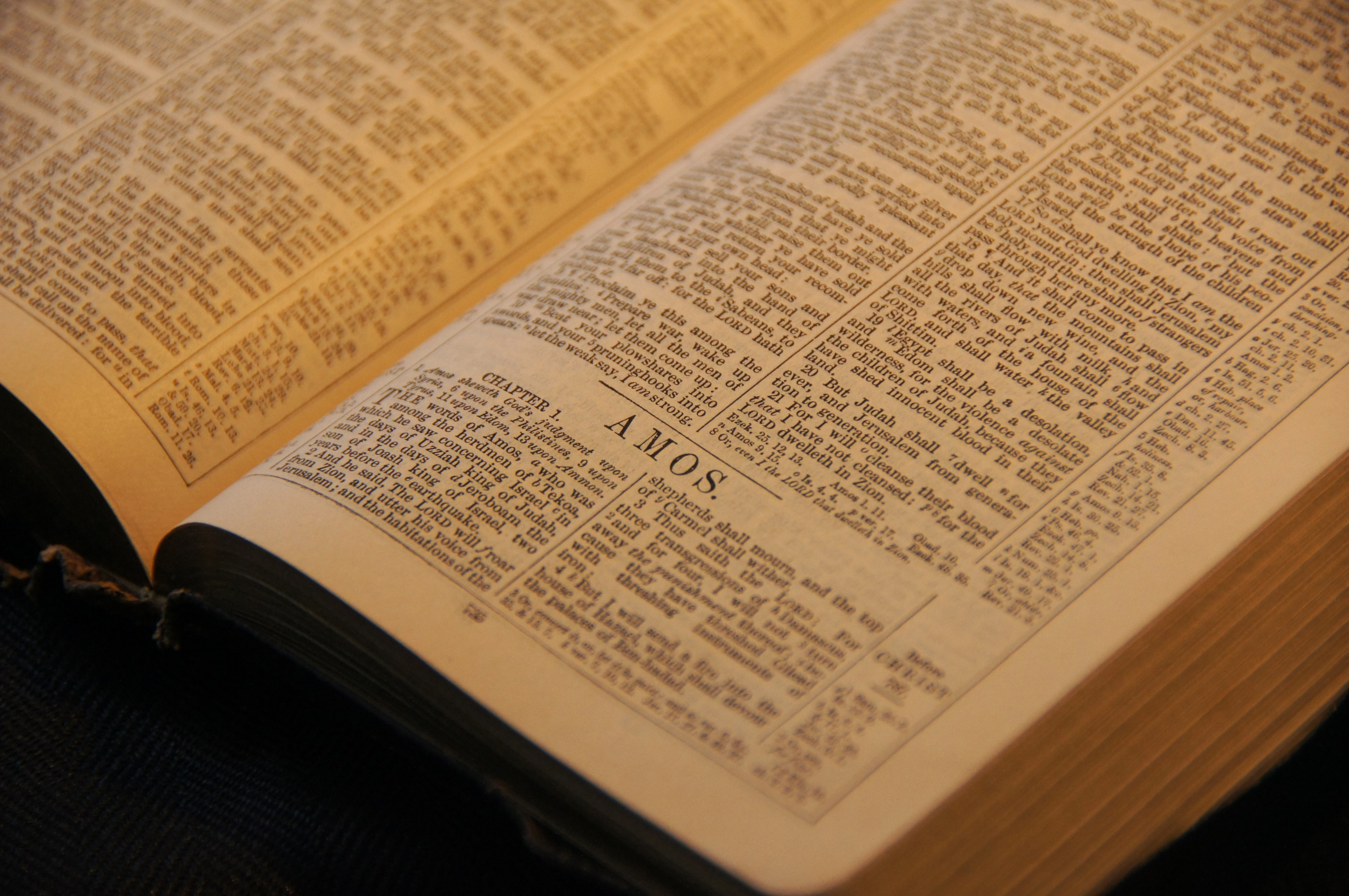 Old Testament: Amos 5:6-7, 10-15 (Pentecost 20: Series B )