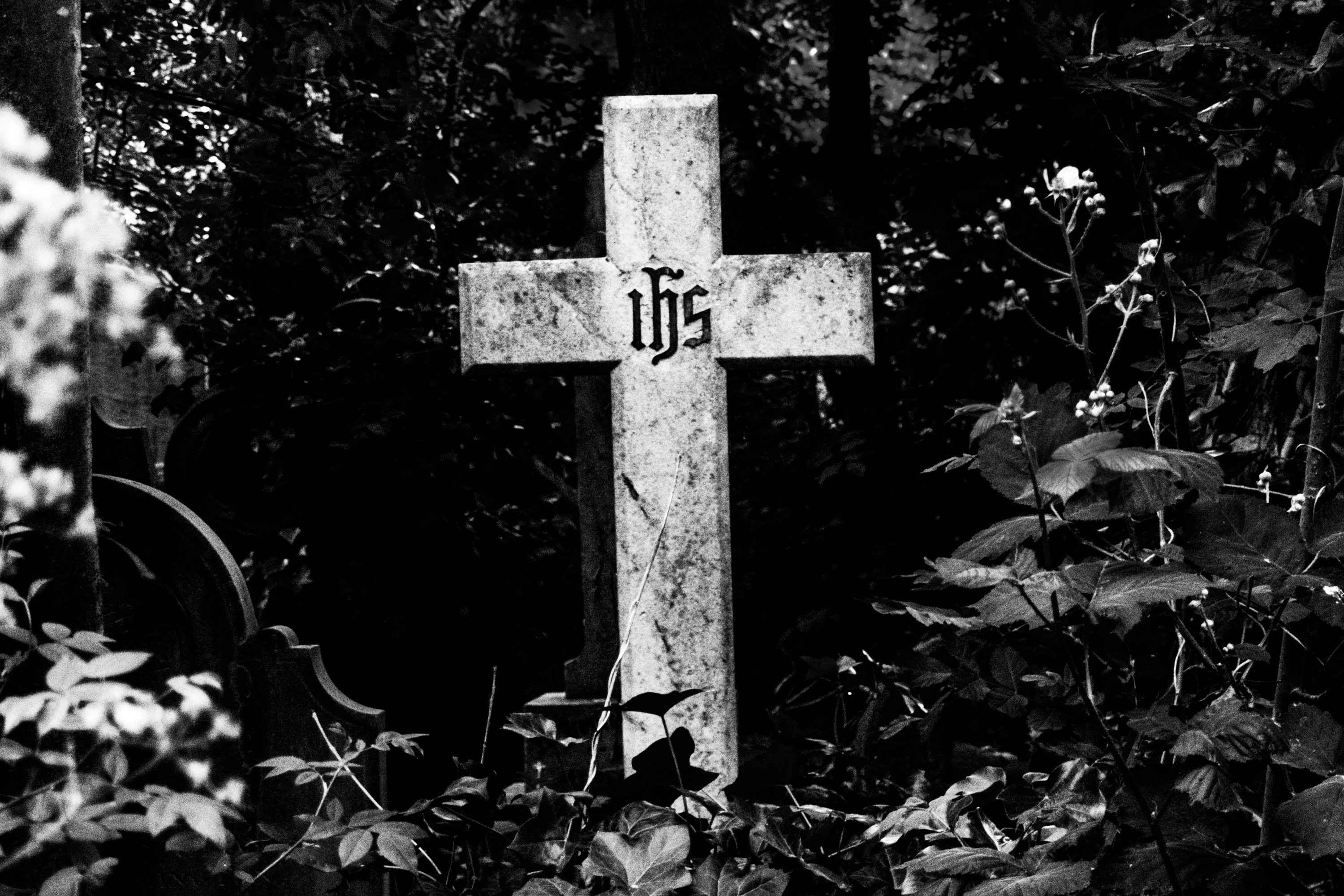 Freedom In Death