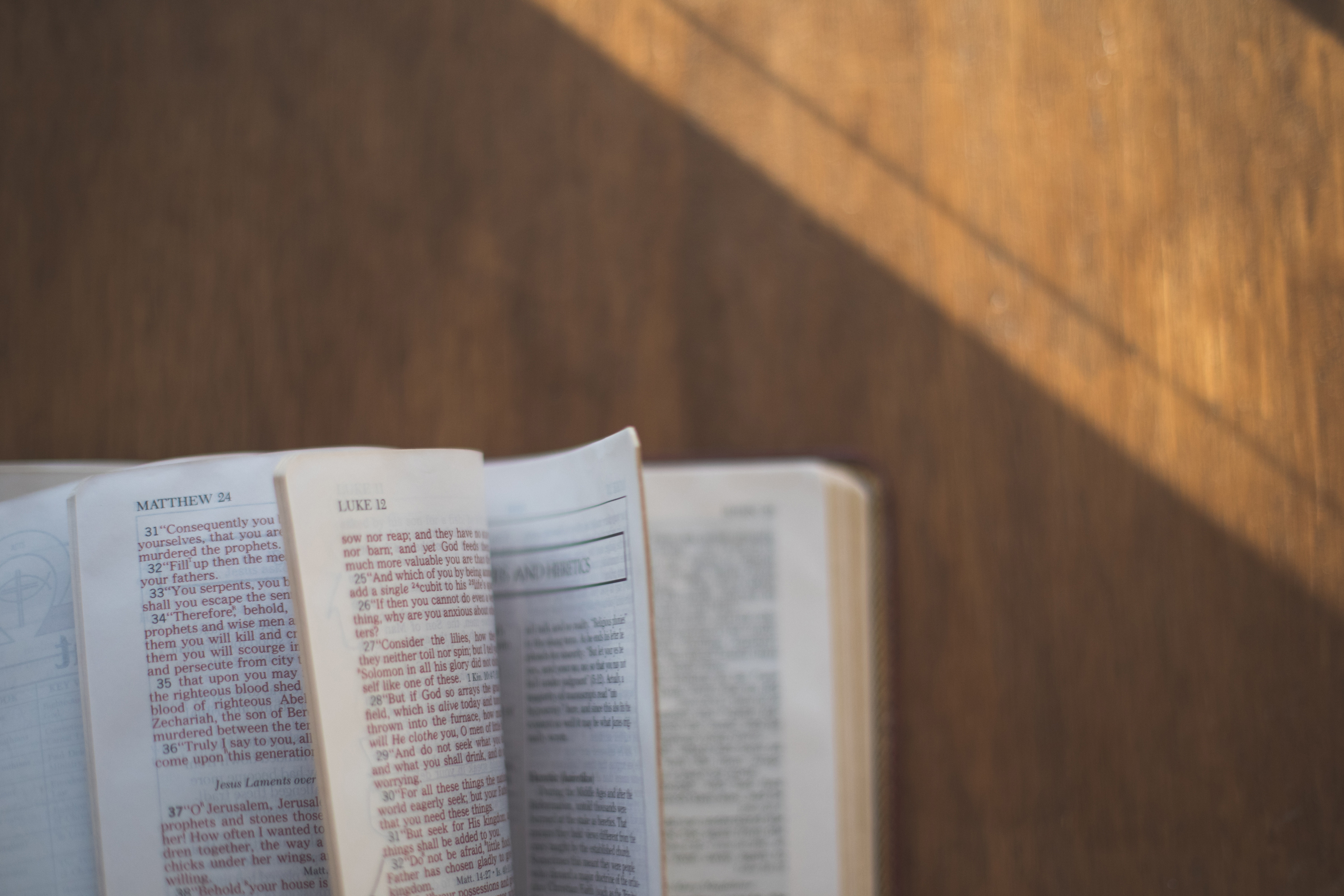 Gospel: Luke 20:9-20 (Lent 5: Series C)
