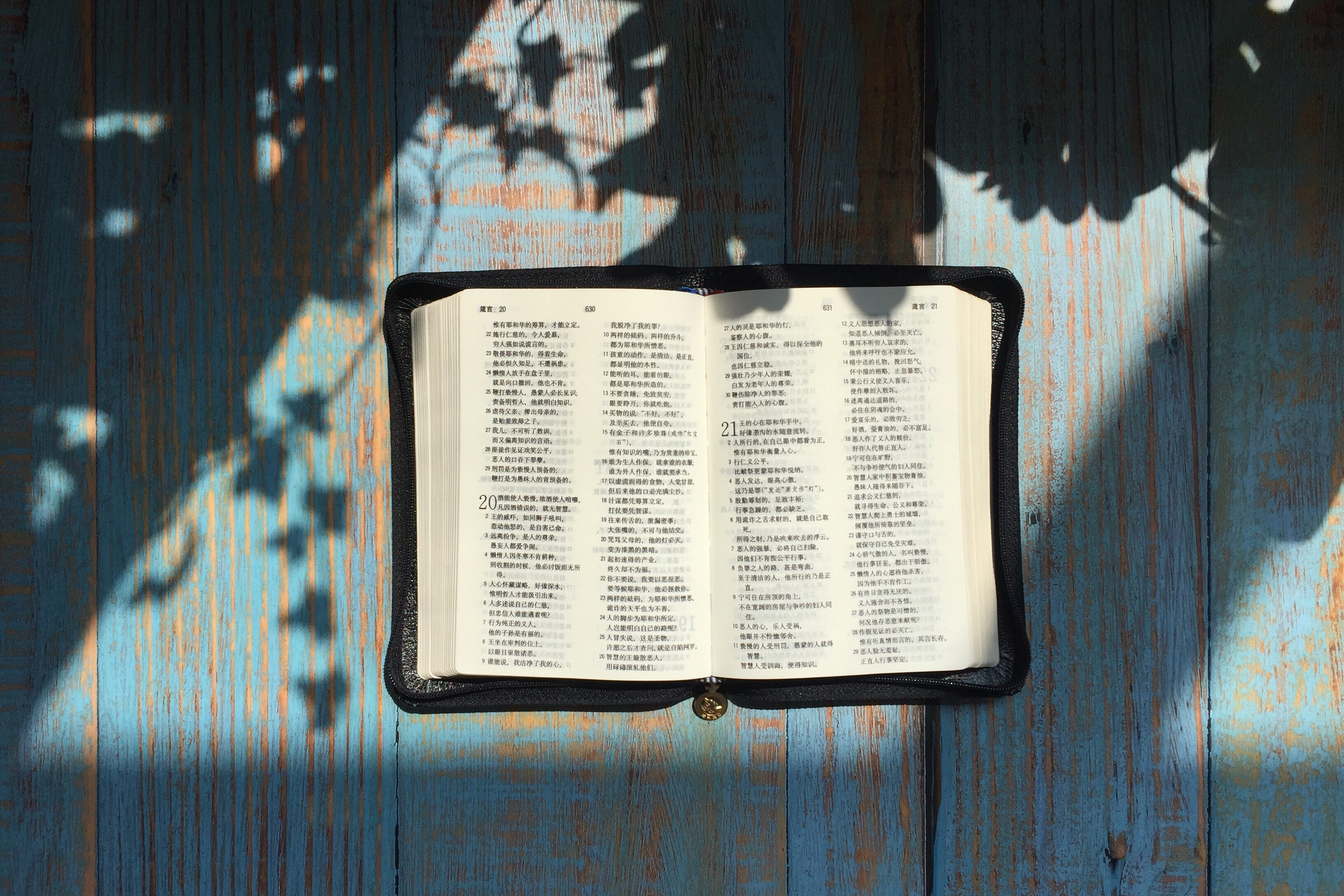 Gospel: Luke 5:1-11 (Epiphany 5: Series C)