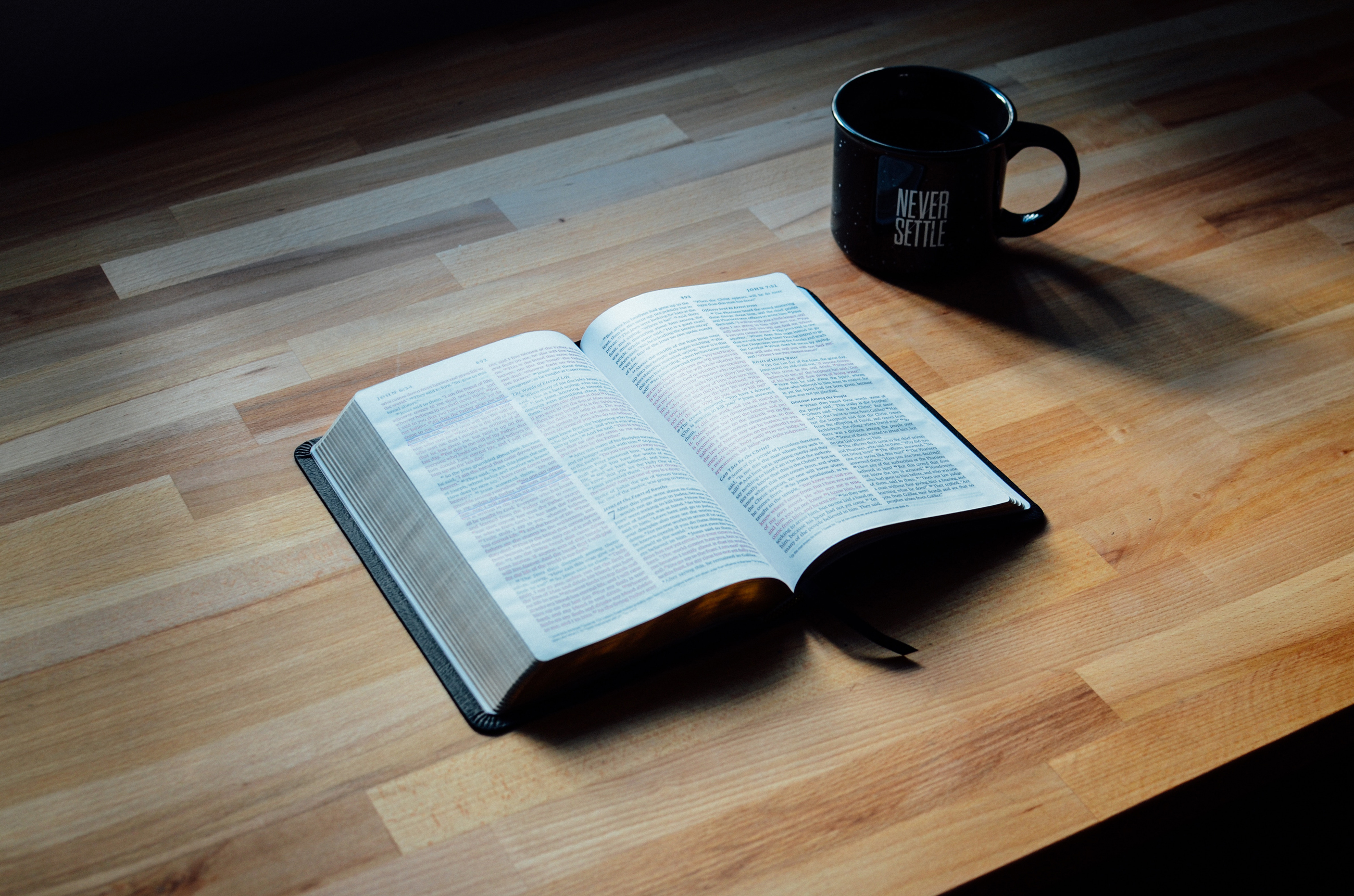 Gospel: John 16:23-33 (Easter 6: Series C)