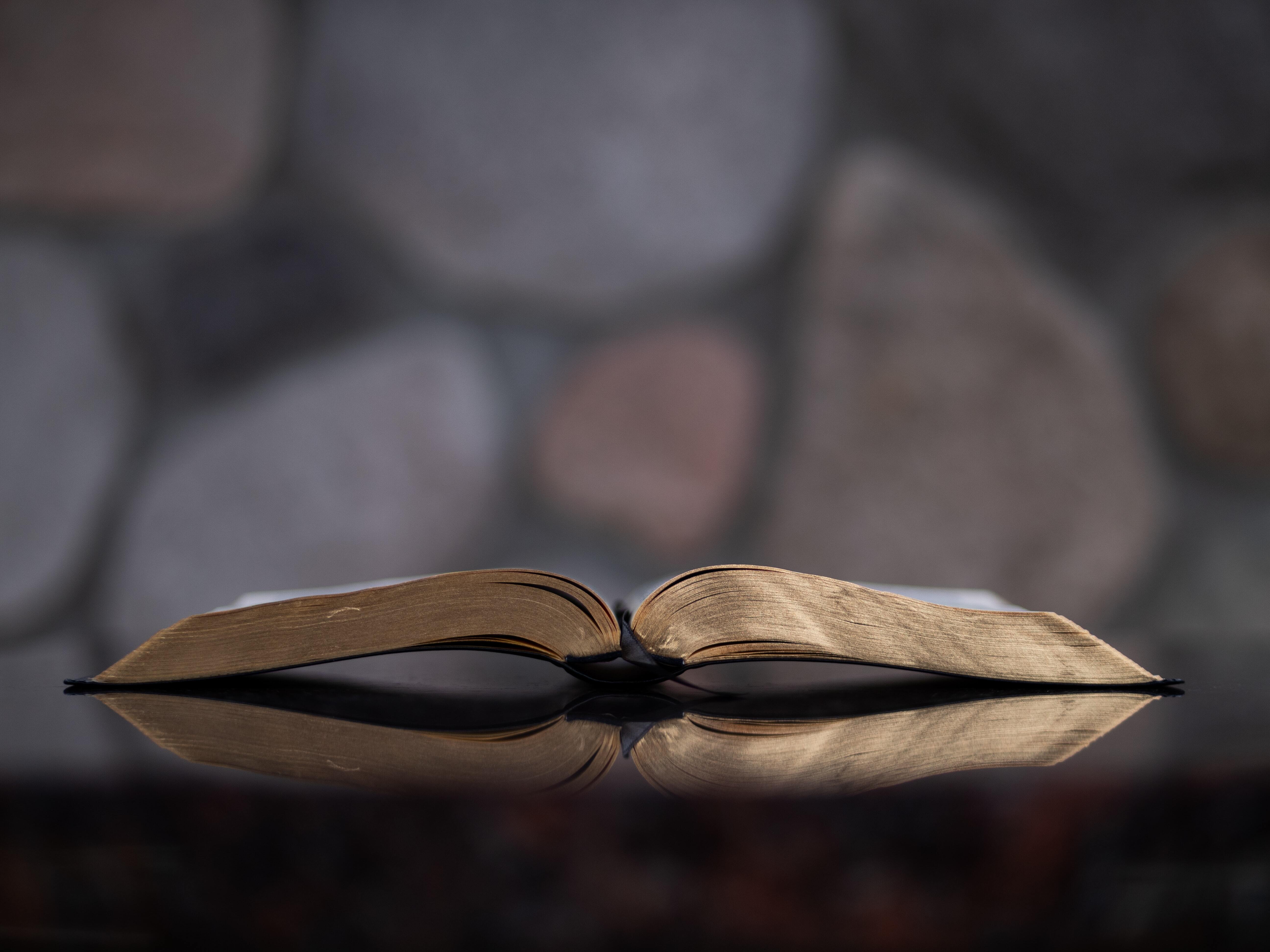 A Scriptural Reflection of Luther’s Small Catechism