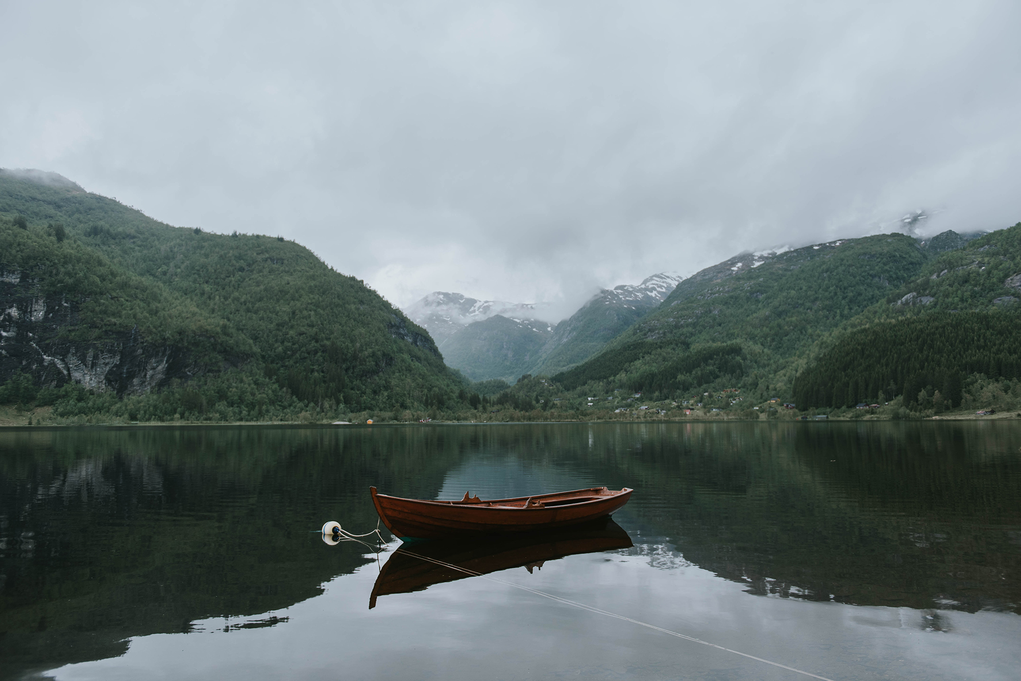 A Look at 1 Peter 5: Peace to All in Christ