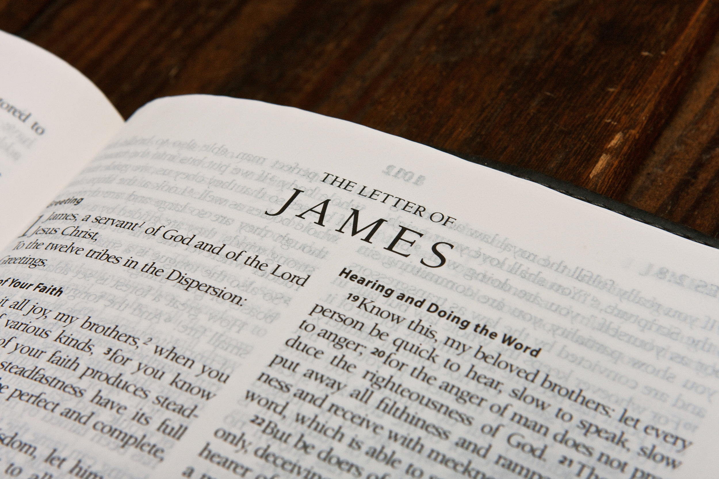 My Favorite Book in the Bible