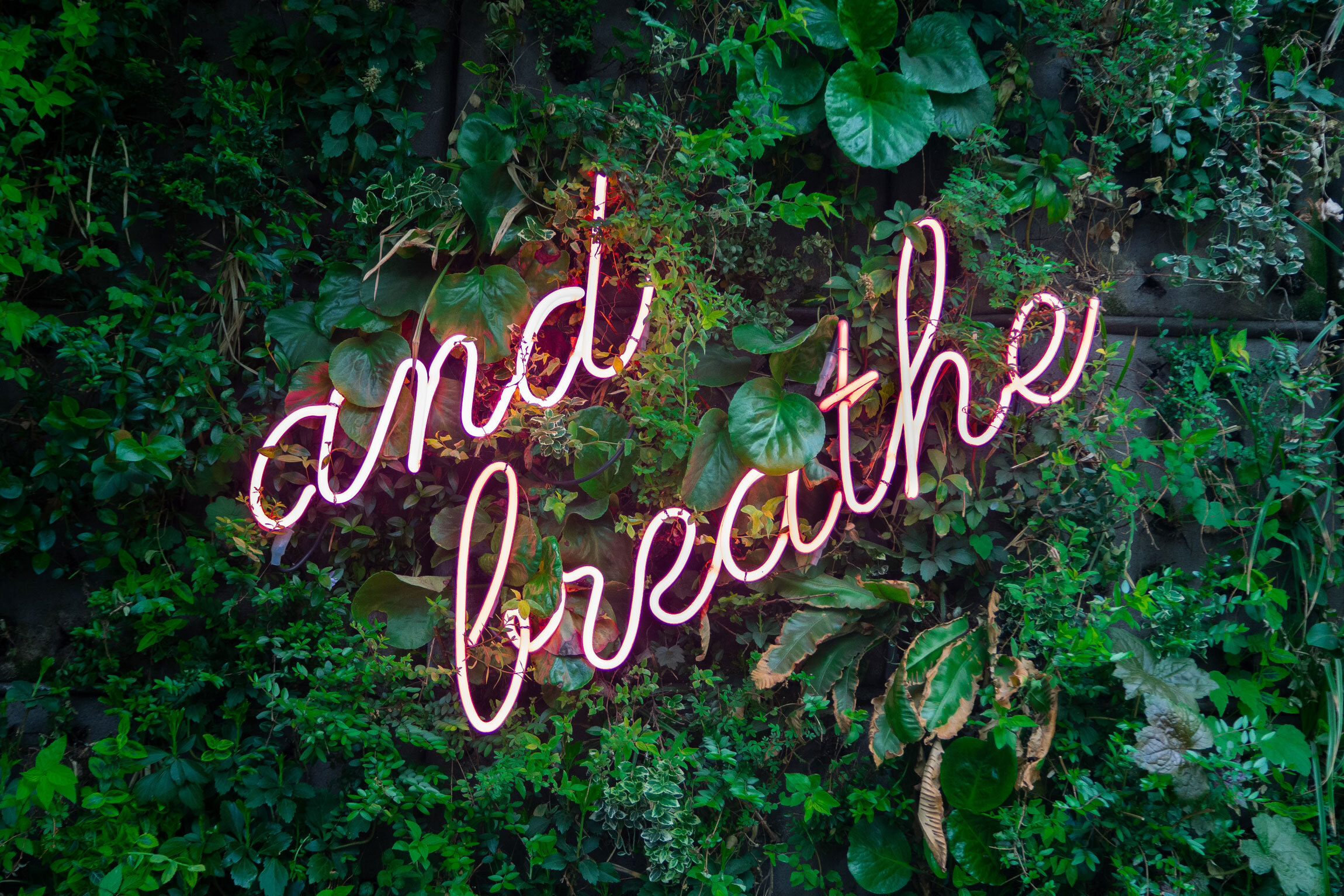 The Breath of Forgiveness