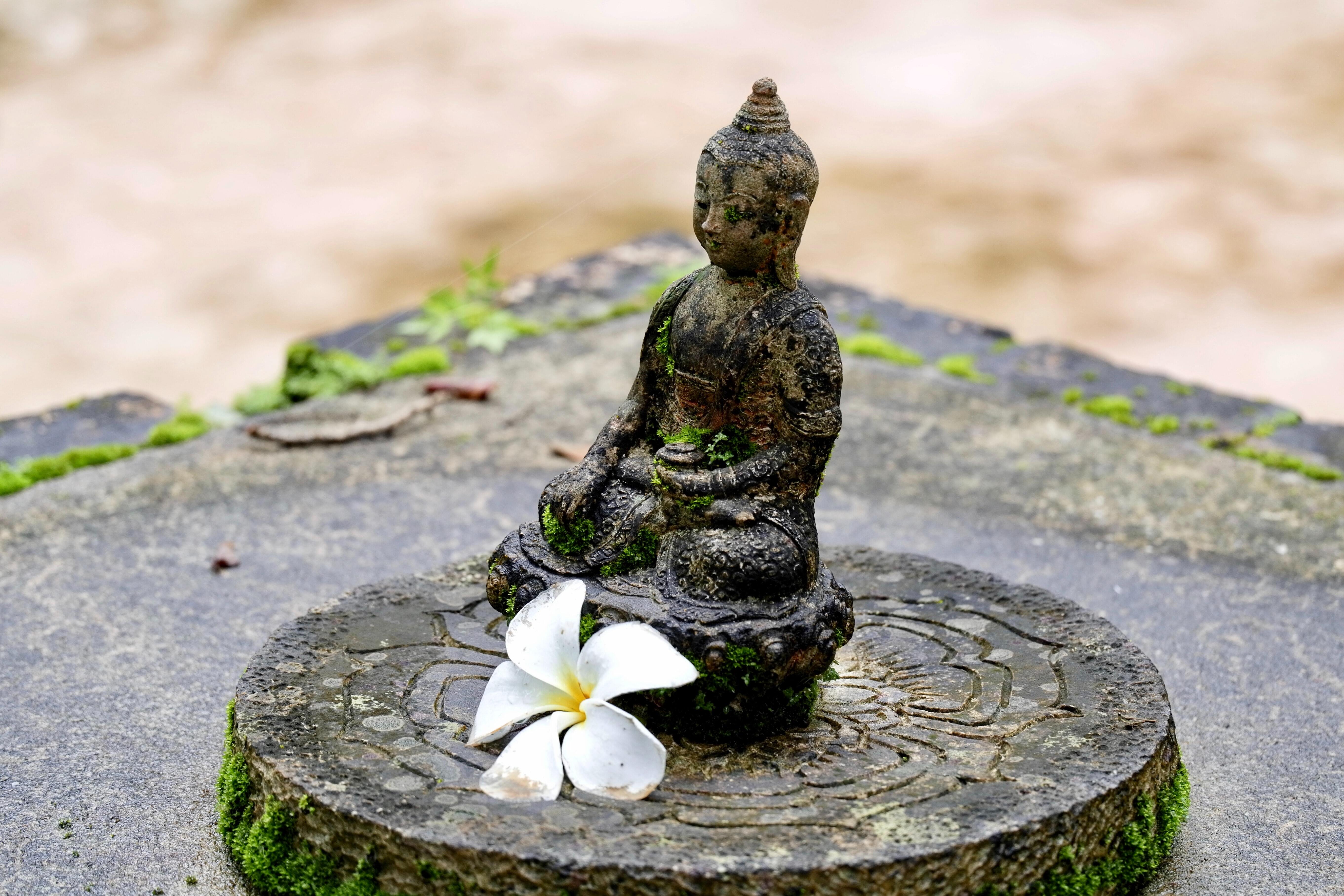Mute and Muted Idols