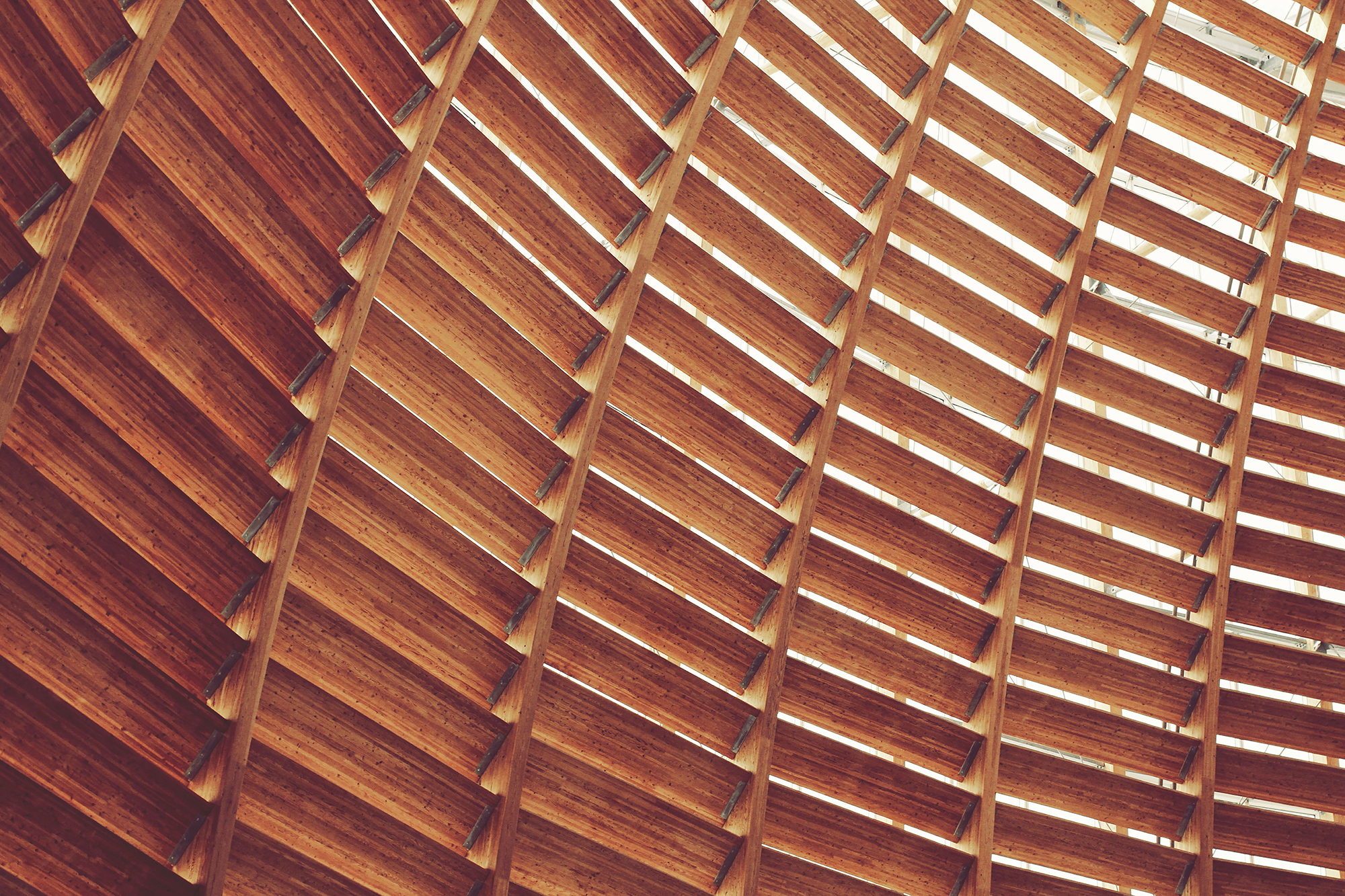 Jesus Will Humble You, and That's Good