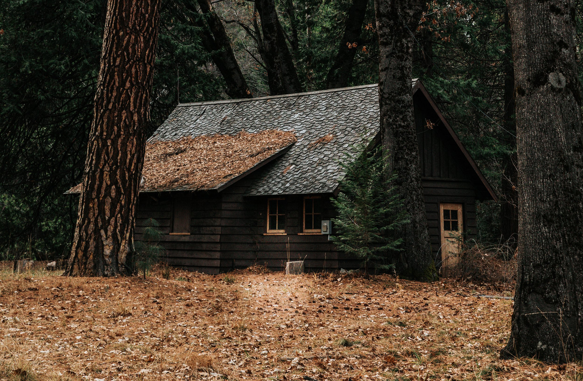 The House Who Built Us