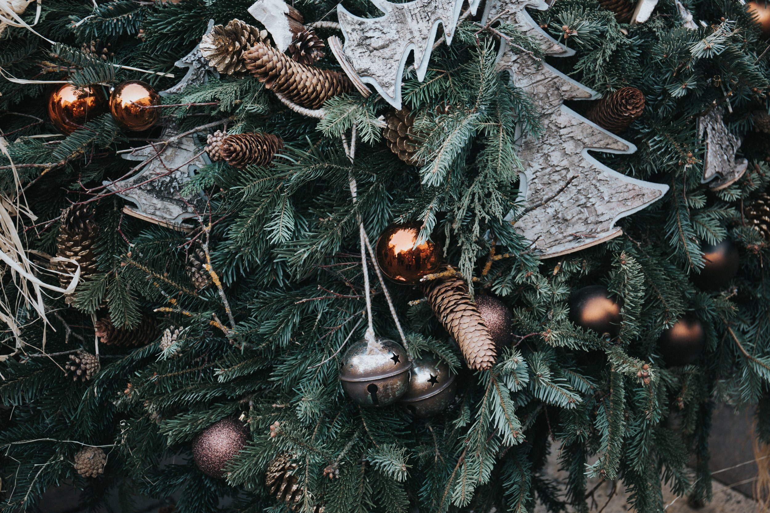 Advent and the Preacher of Repentance