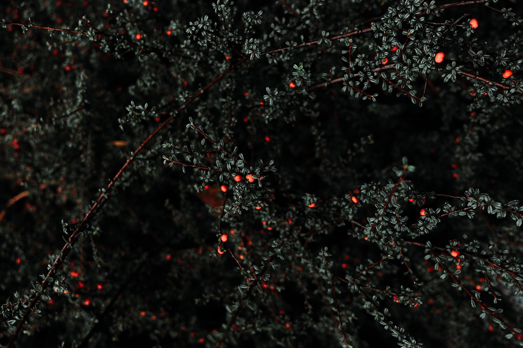 The Good News That We Can't Save Ourselves