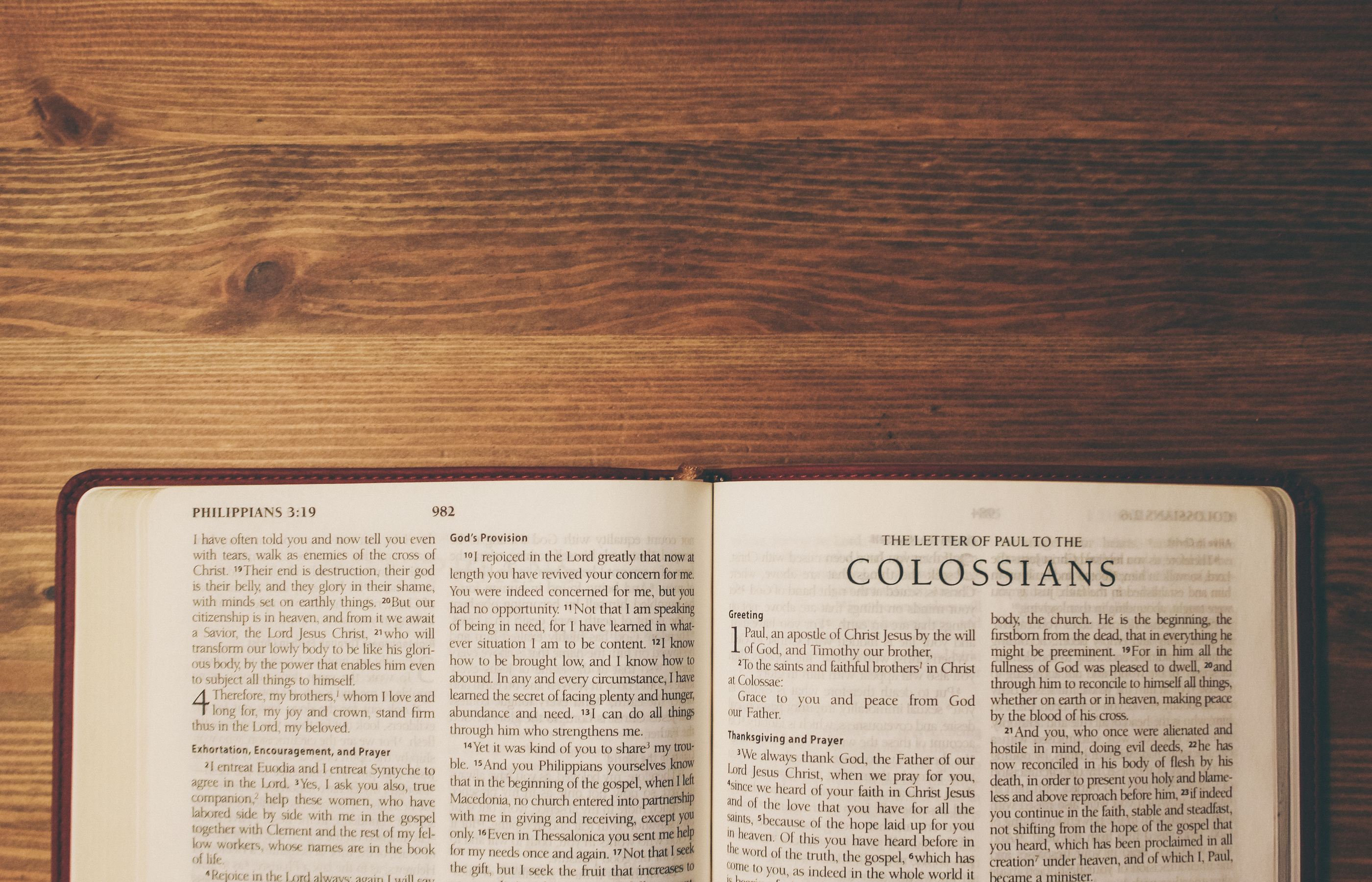 Epistle: Colossians 1: 21-29 (Pentecost 6: Series C)