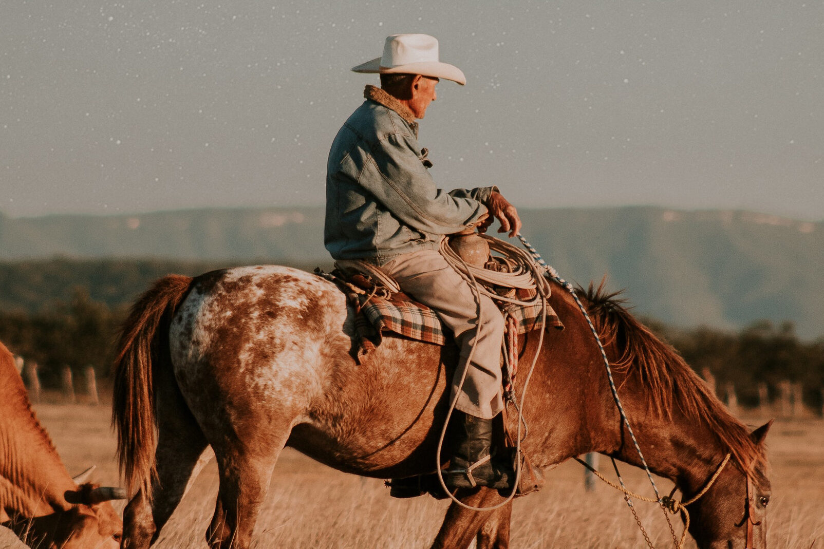Place, Vocation, and Horse-Shoes