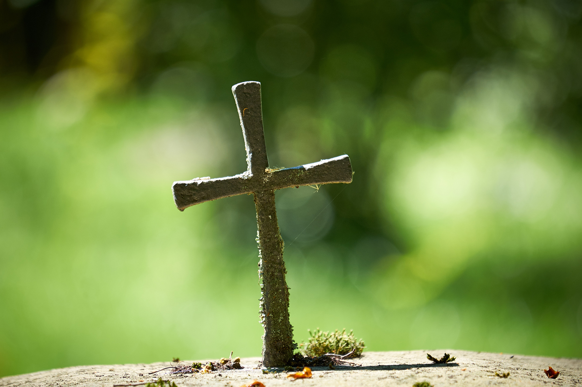 Jesus' Harsh Words