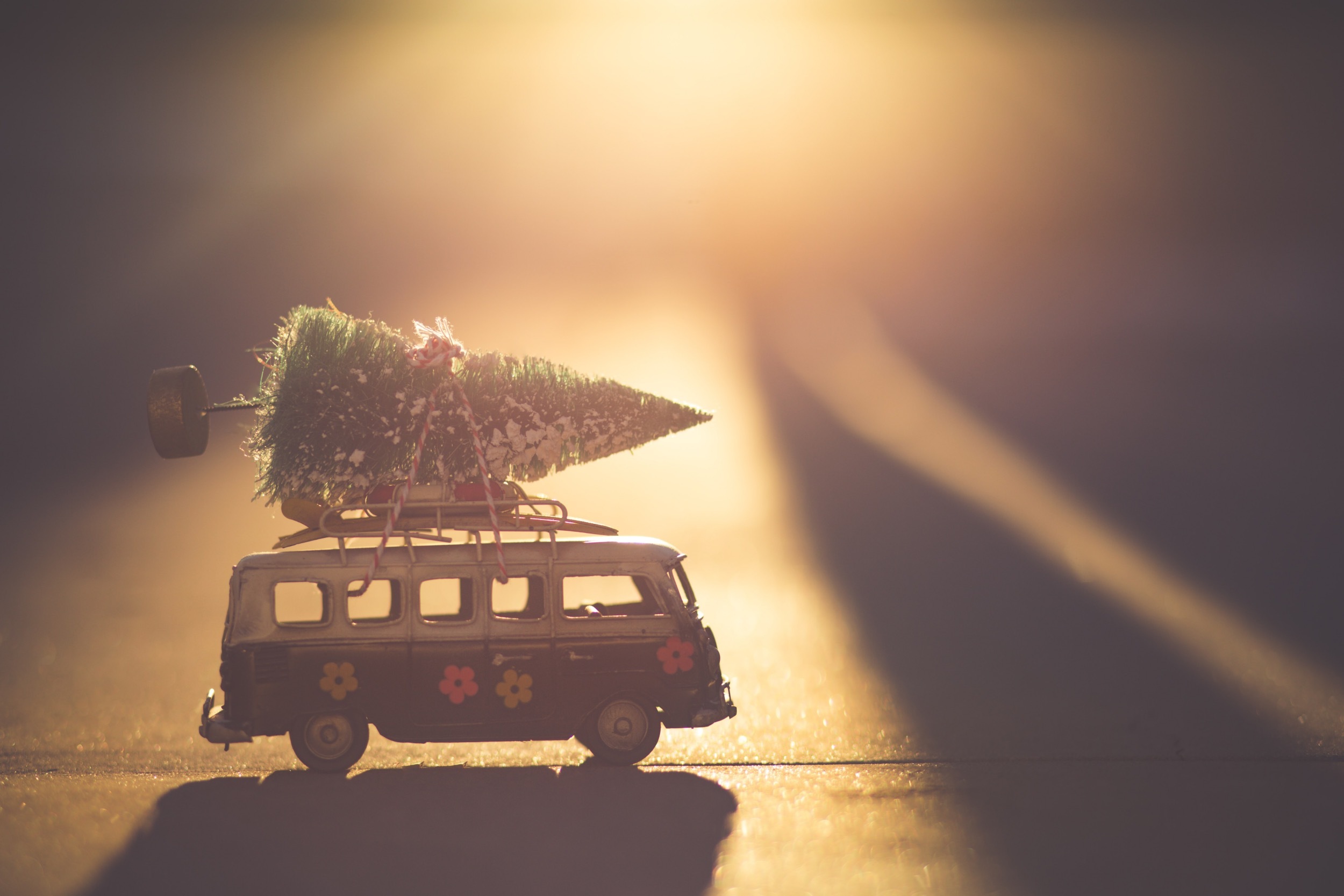 Have a Tall Christmas!