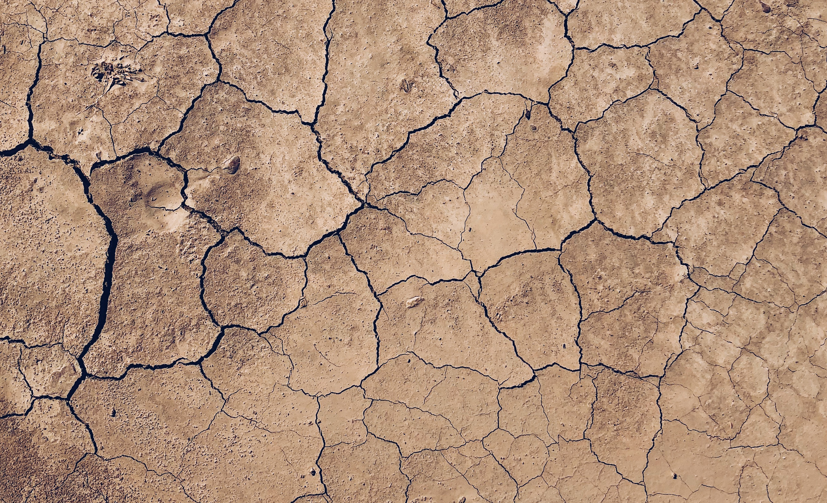 Gospel: Mark 10:17-22 (Proper 23: Series B)
