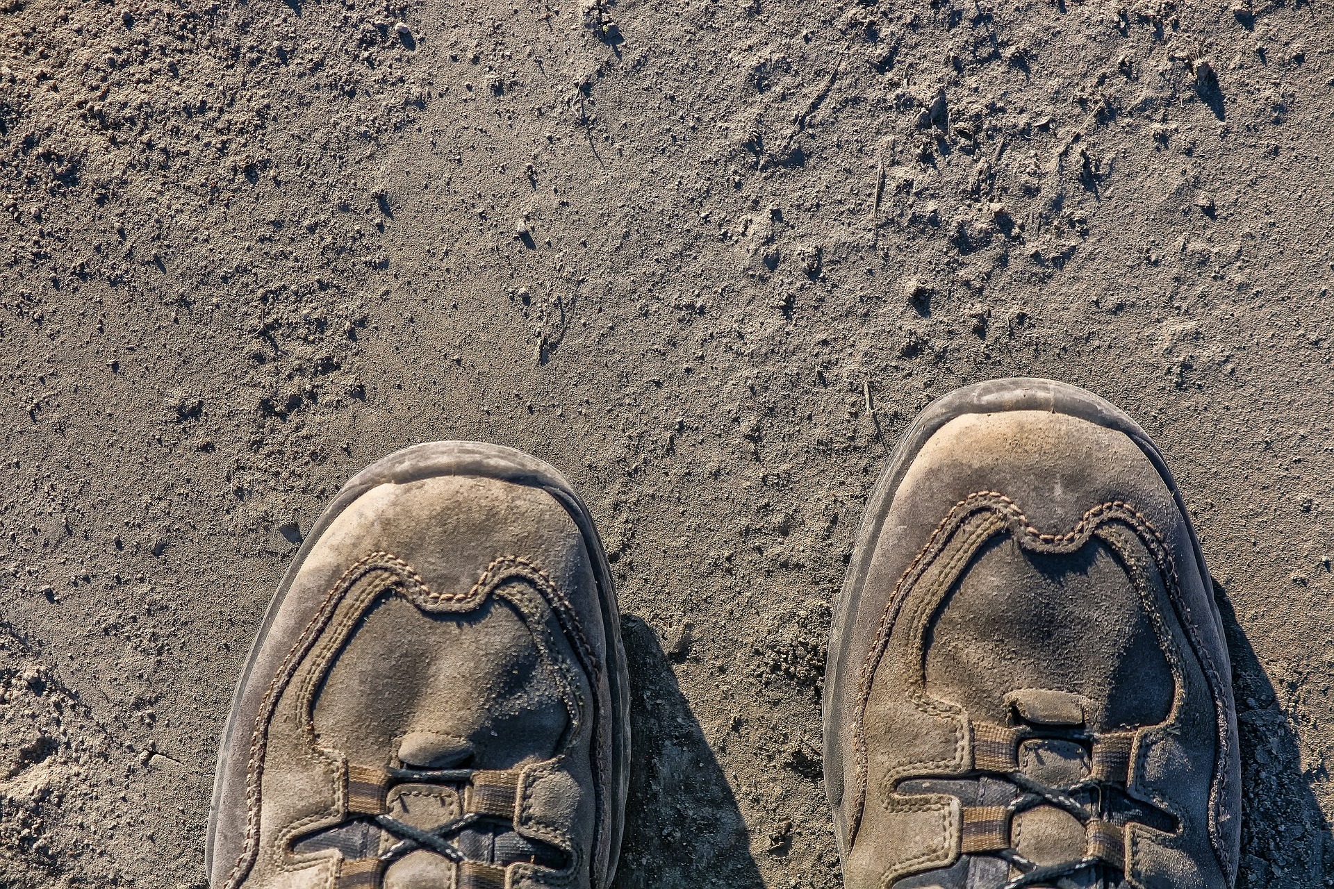 Gathering up Our Dust During Lent